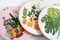 Embroidery Kits for Adults Beginner, European Style Garden Plant Green Leaf Stamped Embroidery Starter Kit,DIY Sewing Practice, Needlepoint Cross Stitch Kit,Set of 3
